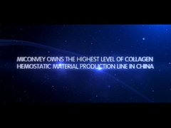 معرفی شرکت MICONVEY